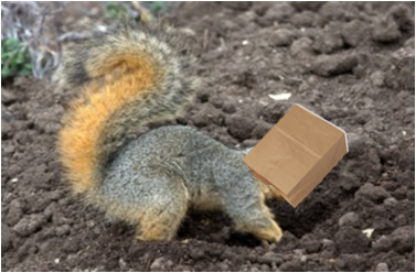 Squirrel paper bag disguise