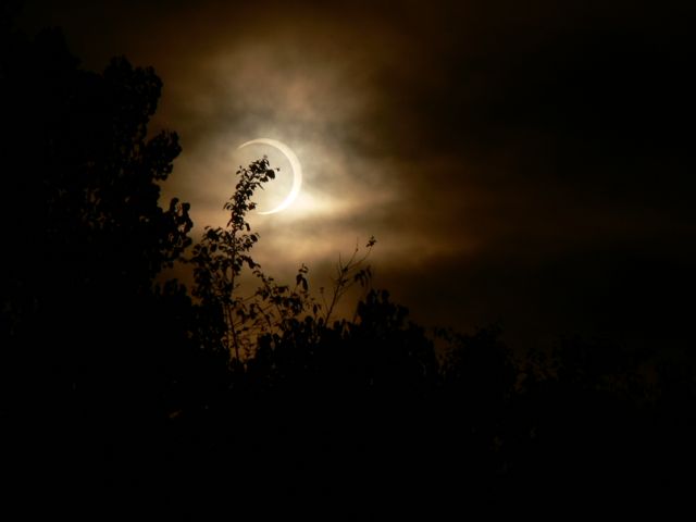 P1030200sm.jpg