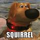 DUG FROM UP.jpg