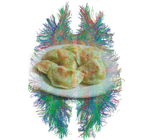 food.jpg